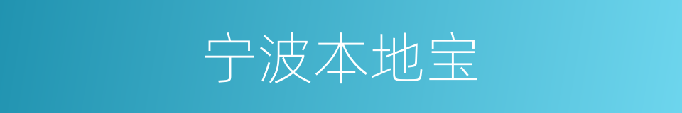 宁波本地宝的同义词