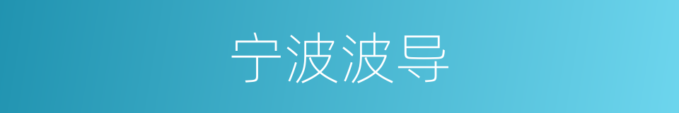 宁波波导的同义词