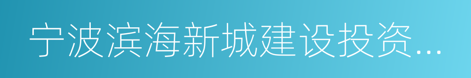 宁波滨海新城建设投资有限公司的同义词