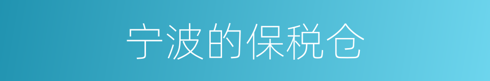 宁波的保税仓的同义词