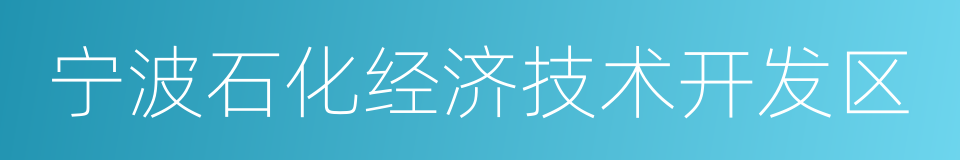 宁波石化经济技术开发区的同义词