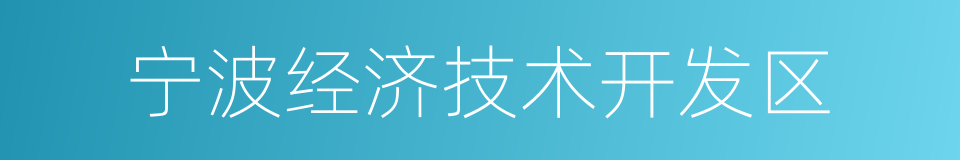 宁波经济技术开发区的同义词