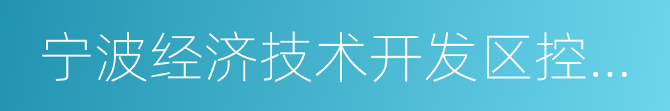 宁波经济技术开发区控股有限公司的同义词