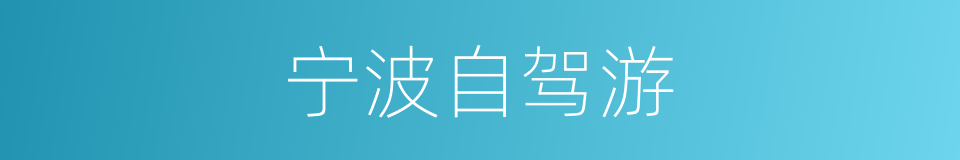 宁波自驾游的同义词