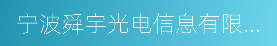 宁波舜宇光电信息有限公司的同义词