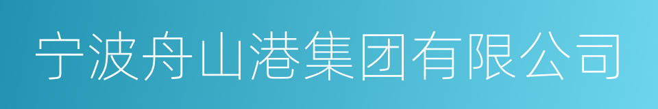 宁波舟山港集团有限公司的同义词