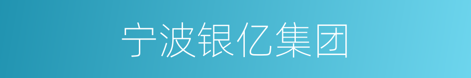 宁波银亿集团的同义词