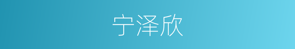 宁泽欣的同义词