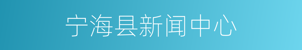 宁海县新闻中心的同义词