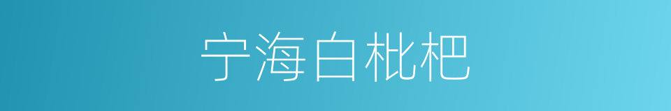 宁海白枇杷的同义词