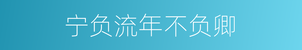 宁负流年不负卿的同义词