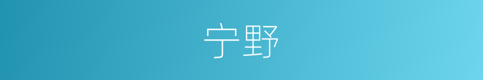 宁野的意思
