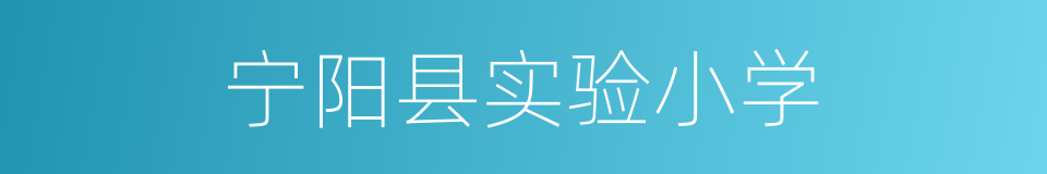 宁阳县实验小学的同义词
