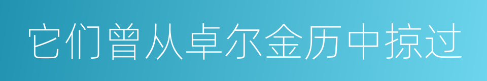 它们曾从卓尔金历中掠过的同义词