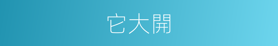它大開的同義詞