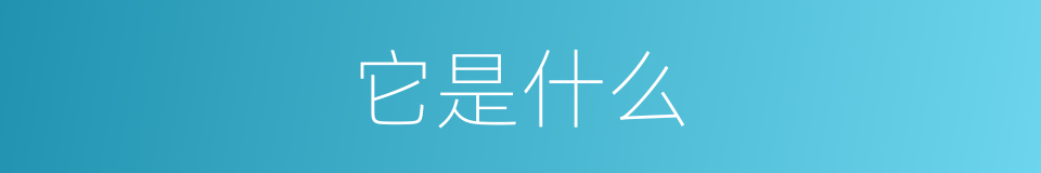 它是什么的同义词