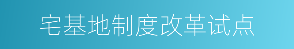 宅基地制度改革试点的同义词