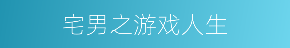 宅男之游戏人生的同义词