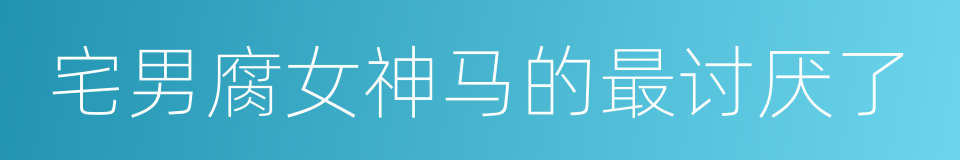 宅男腐女神马的最讨厌了的同义词