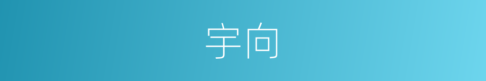 宇向的同义词