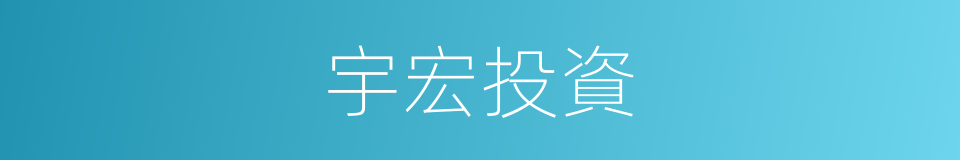 宇宏投資的同義詞