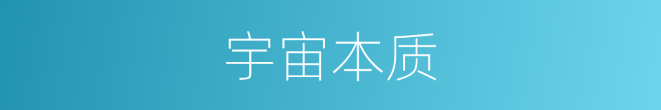 宇宙本质的同义词