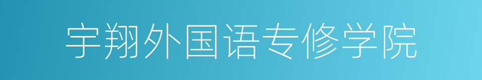 宇翔外国语专修学院的同义词