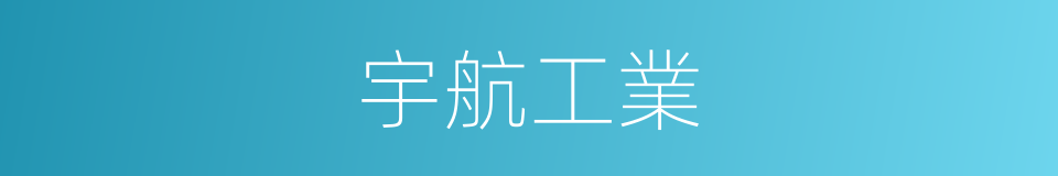 宇航工業的同義詞