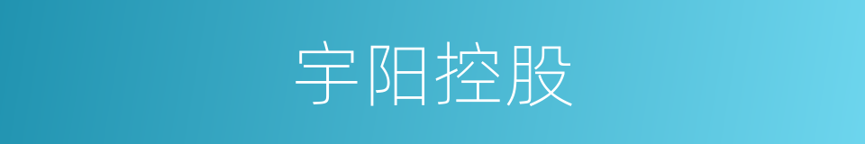 宇阳控股的同义词