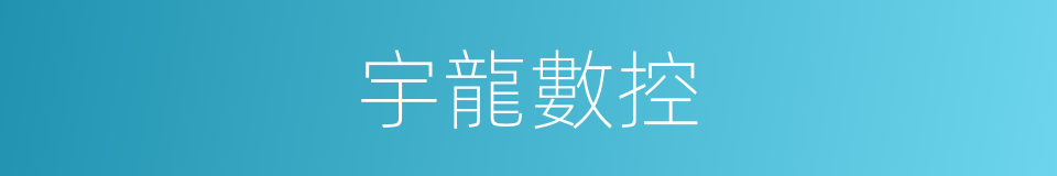 宇龍數控的同義詞