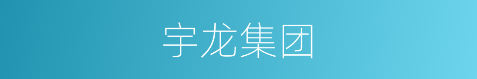 宇龙集团的同义词