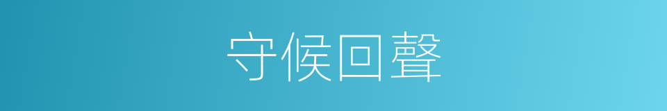 守候回聲的同義詞