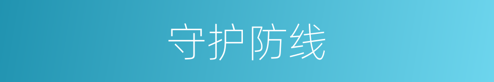 守护防线的同义词