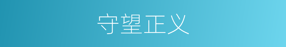 守望正义的同义词
