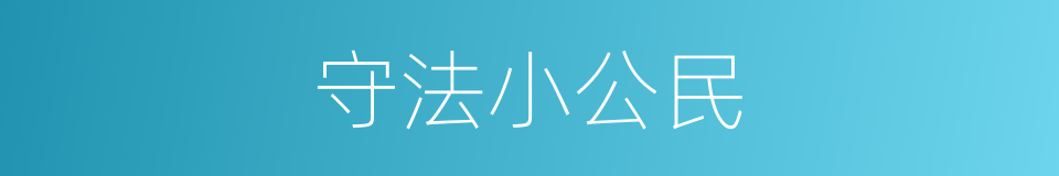 守法小公民的同义词