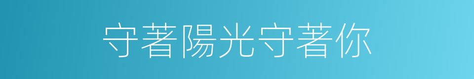 守著陽光守著你的同義詞