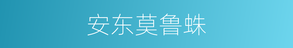 安东莫鲁蛛的同义词