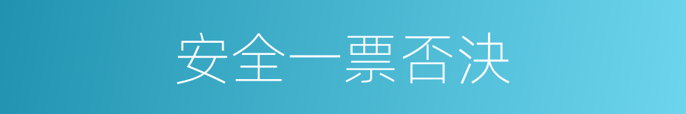 安全一票否決的同義詞