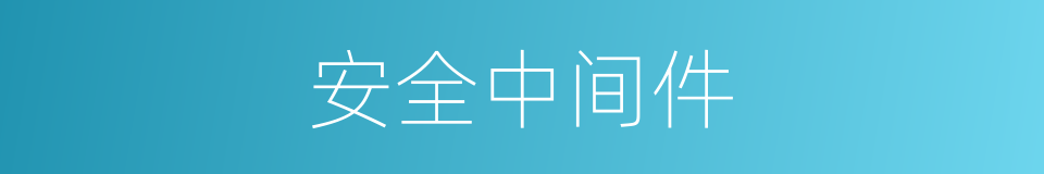 安全中间件的同义词