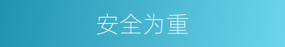 安全为重的同义词