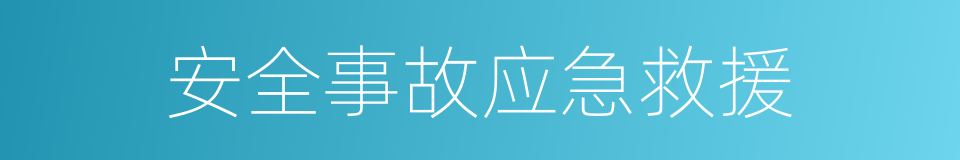 安全事故应急救援的同义词