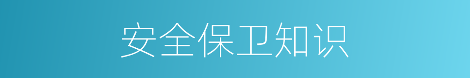 安全保卫知识的同义词