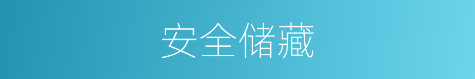 安全储藏的同义词