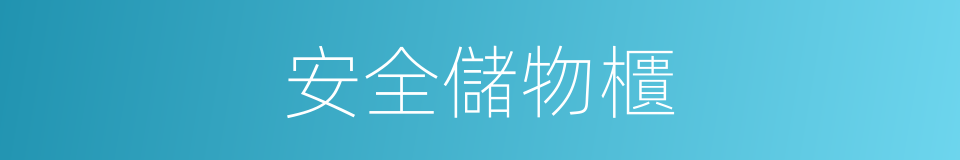 安全儲物櫃的同義詞