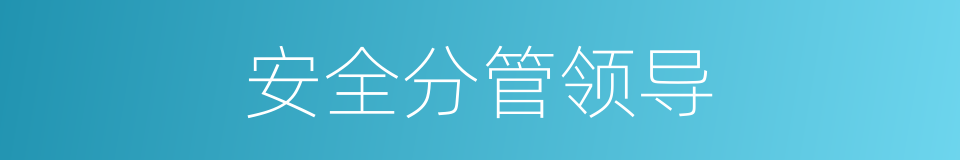 安全分管领导的同义词