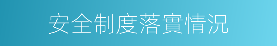 安全制度落實情況的同義詞