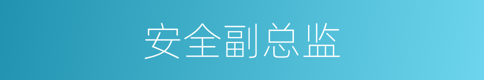 安全副总监的同义词