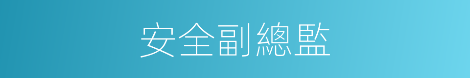 安全副總監的同義詞