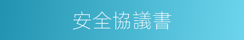 安全協議書的同義詞