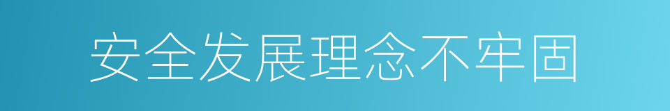 安全发展理念不牢固的同义词